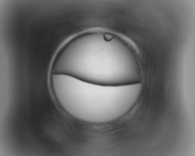 X0000099971279200805230954