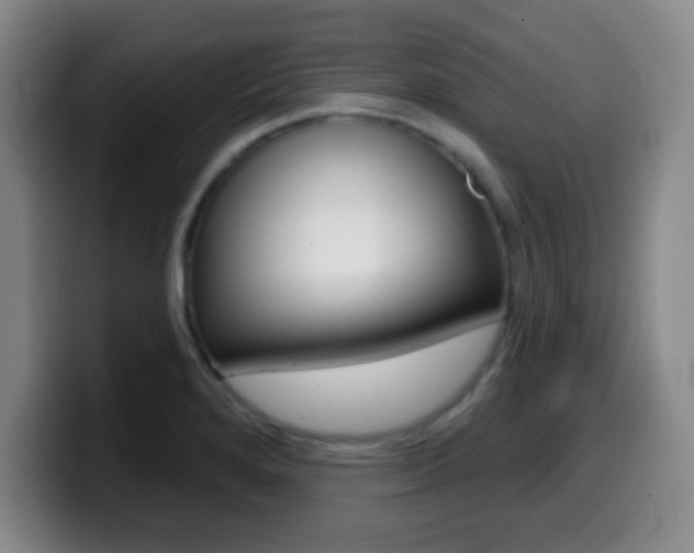 X0000099971280200805230954