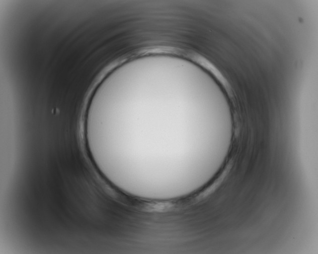 X0000099971282200805230954