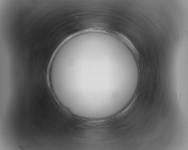 X0000099971284200805230954
