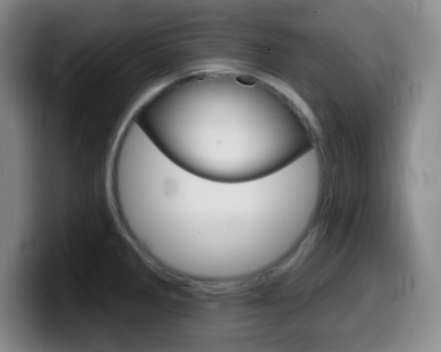 X0000099971285200805230954