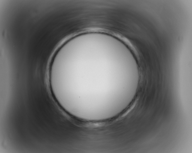 X0000099971286200805230954