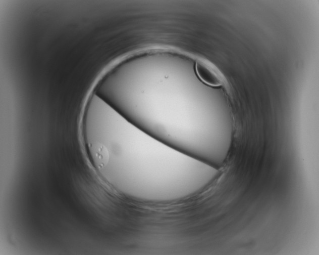 X0000099971287200805230954