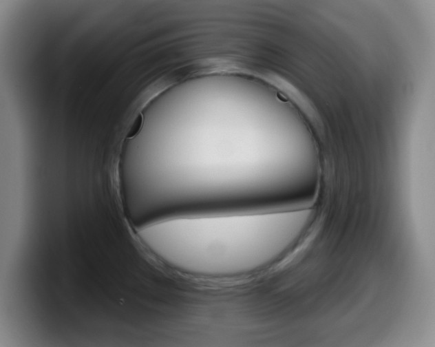 X0000099971289200805230954