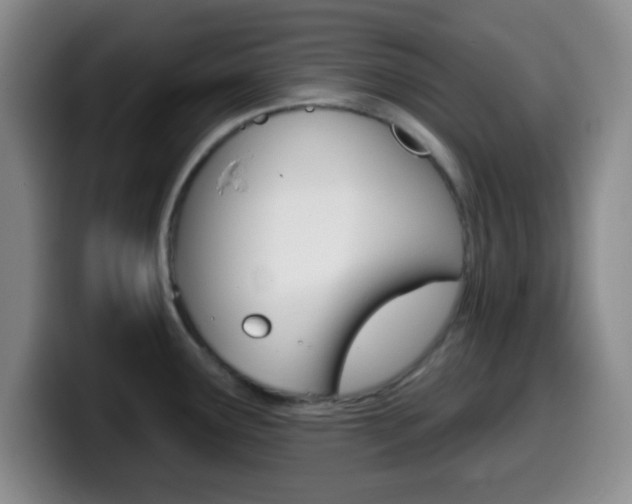 X0000099971291200805230954