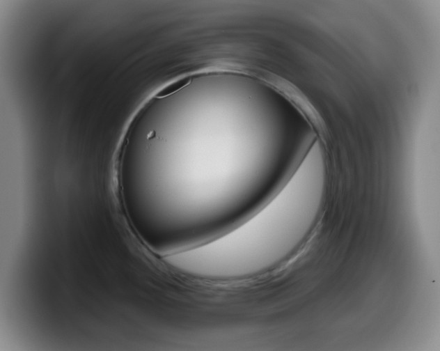 X0000099971292200805230954