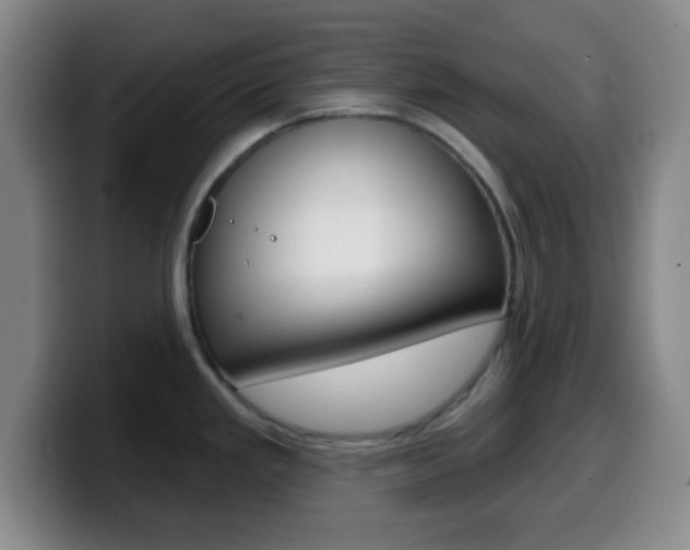 X0000099971293200805230954
