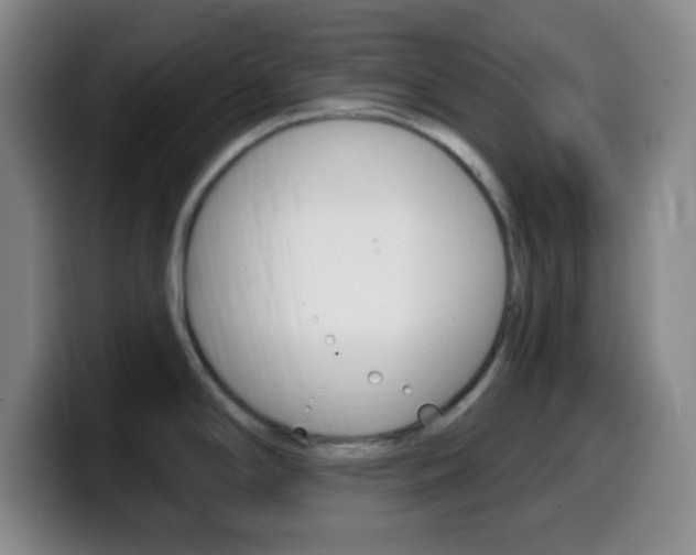 X0000099971294200805230954