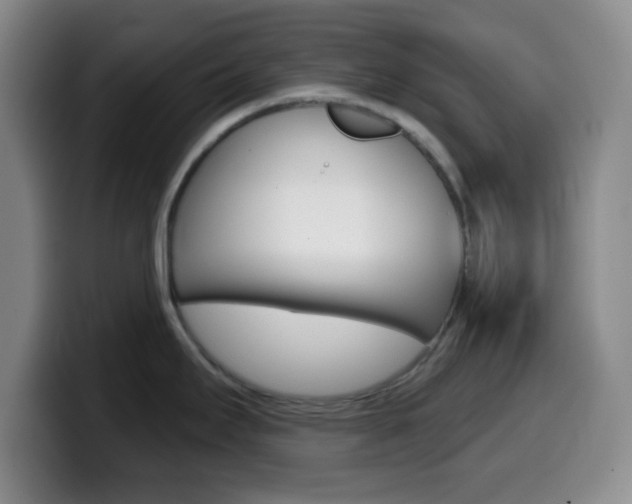X0000099971295200805230954