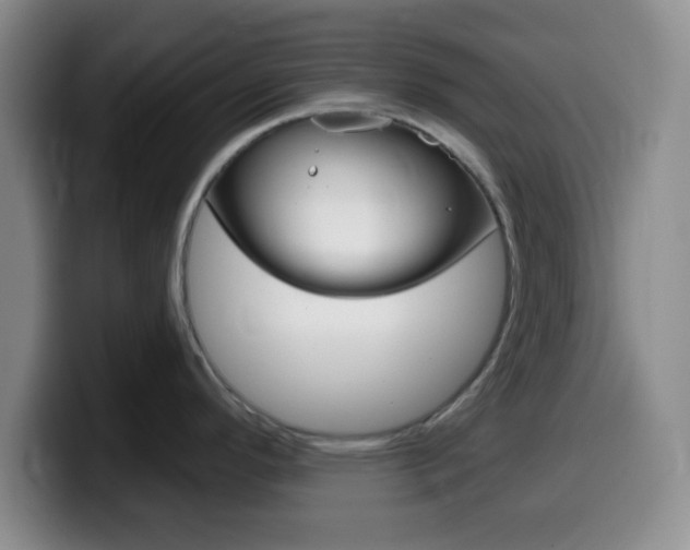 X0000099971296200805230953
