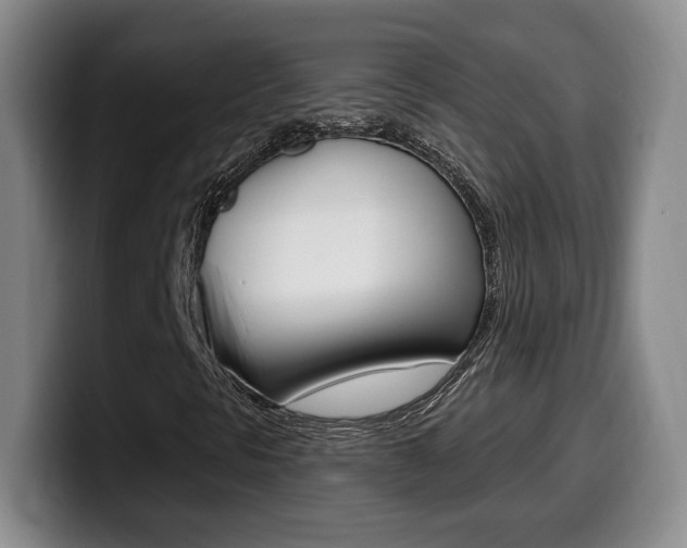 X0000099971297200805230953