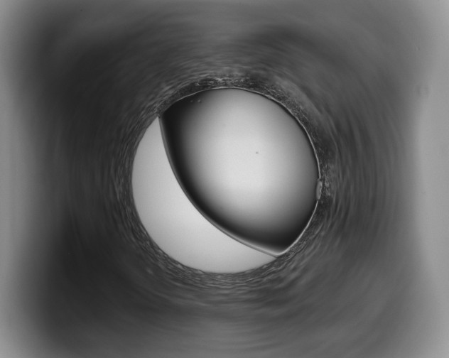 X0000099971298200805230953