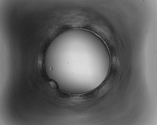 X0000099971300200805230953