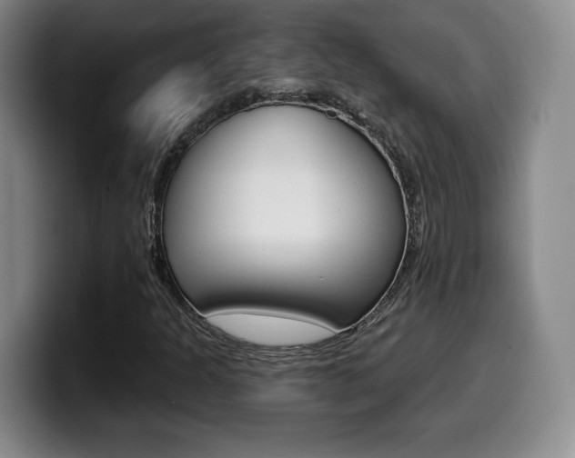 X0000099971301200805230953