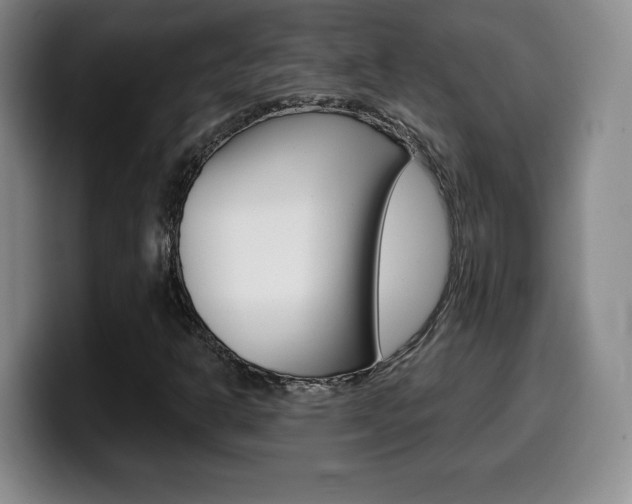 X0000099971302200805230953