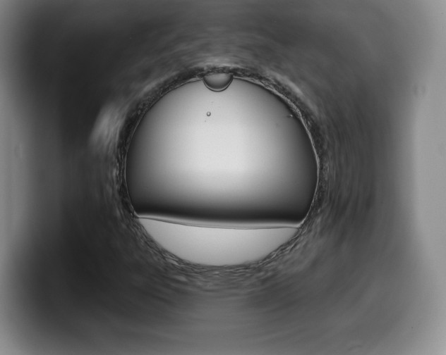 X0000099971303200805230953