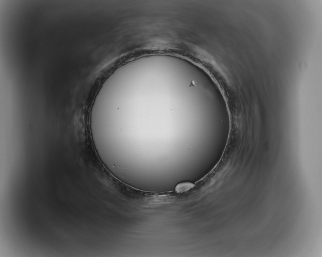 X0000099971304200805230953