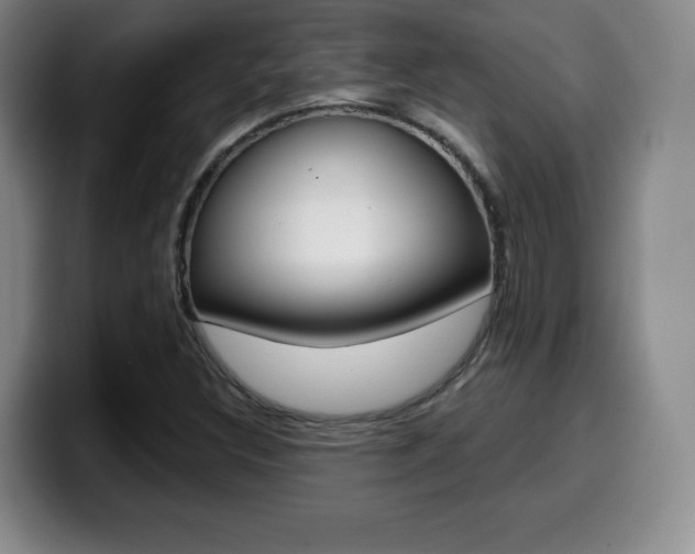 X0000099971308200805230953