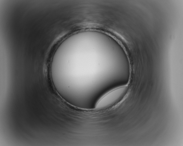 X0000099971309200805230953