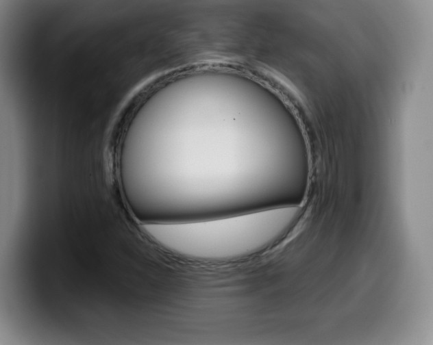 X0000099971310200805230953