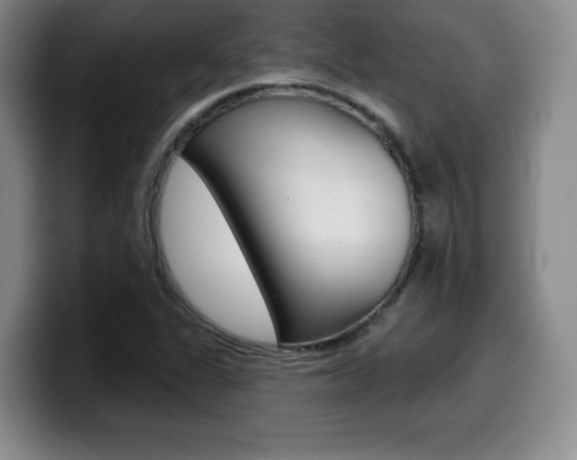 X0000099971311200805230953