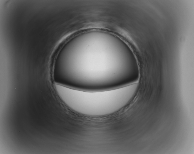 X0000099971312200805230953