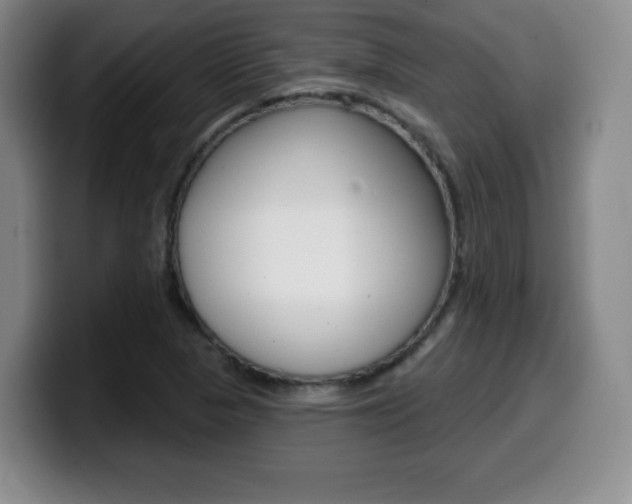 X0000099971313200805230953