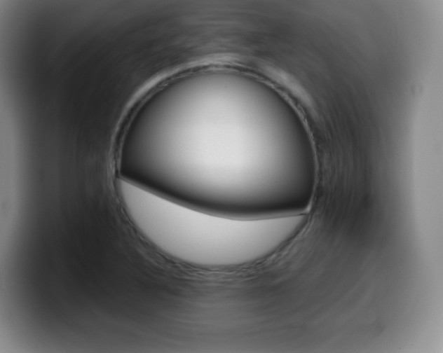 X0000099971316200805230953