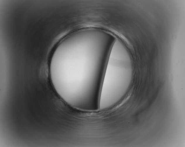 X0000099971317200805230953