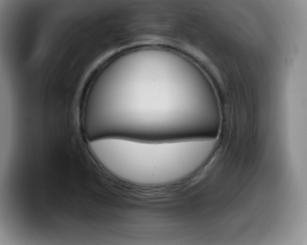 X0000099971318200805230953