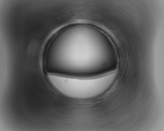 X0000099971319200805230953