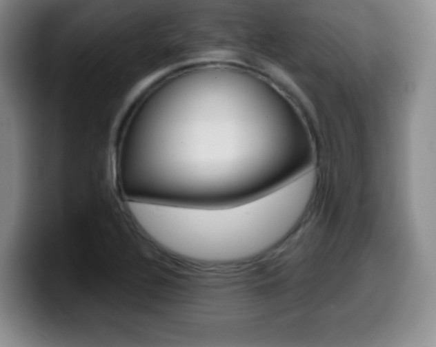 X0000099971320200805230953