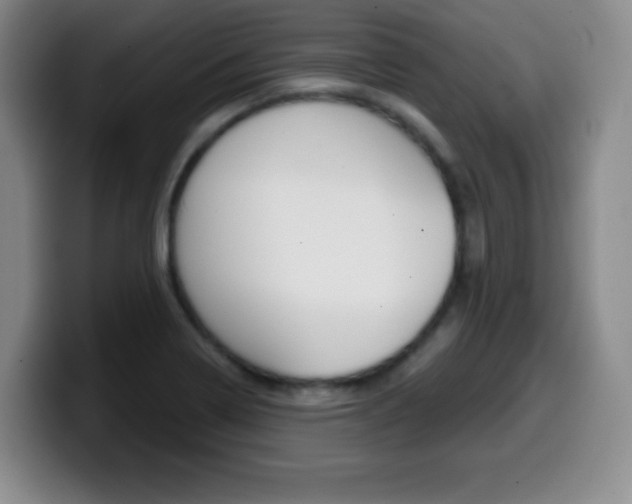X0000099971322200805230953