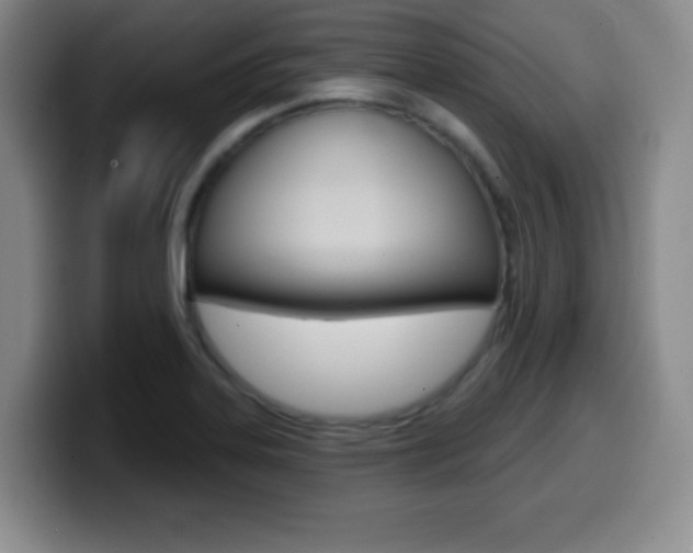 X0000099971323200805230953