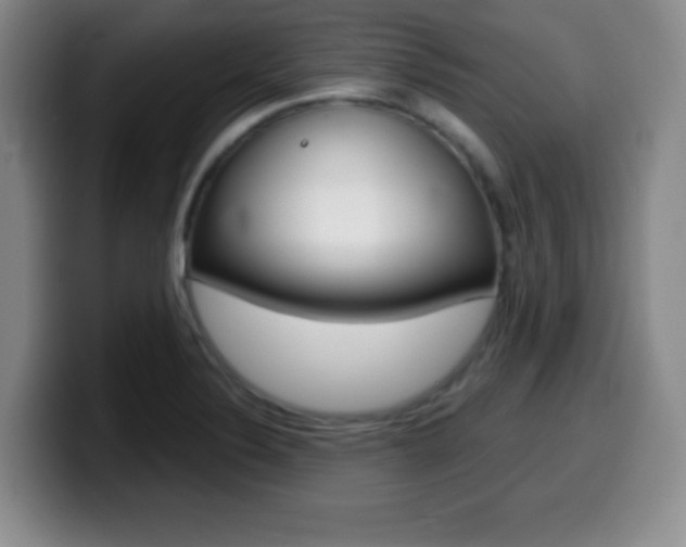 X0000099971324200805230953