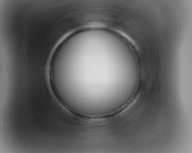 X0000099971325200805230953