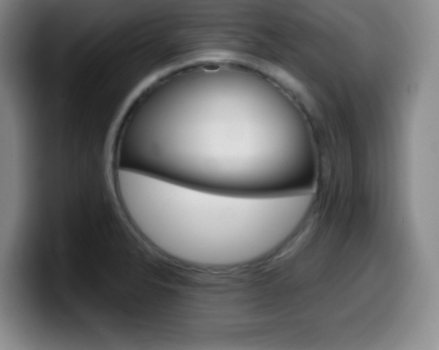 X0000099971326200805230953