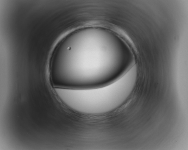 X0000099971328200805230953