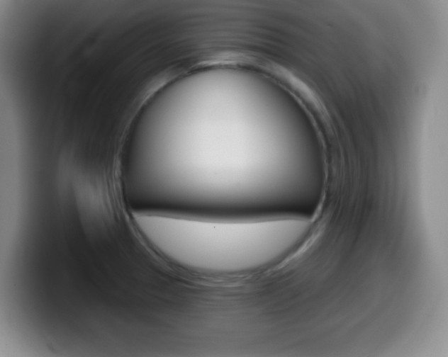 X0000099971329200805230953