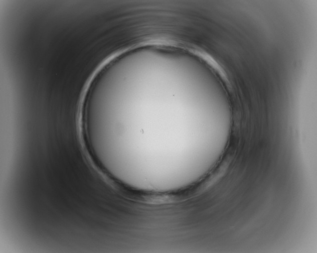X0000099971331200805230953