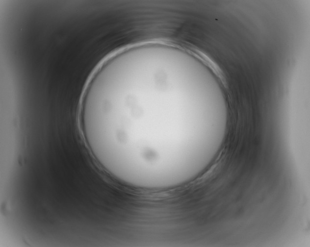 X0000099971332200805230953