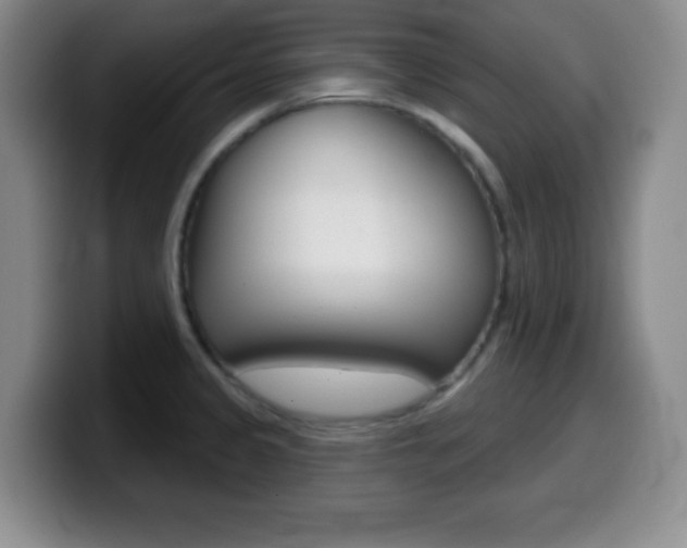 X0000099971333200805230953