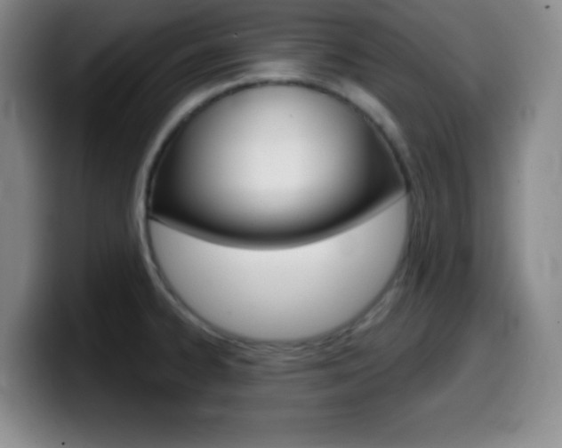 X0000099971334200805230953