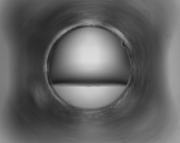 X0000099971335200805230953