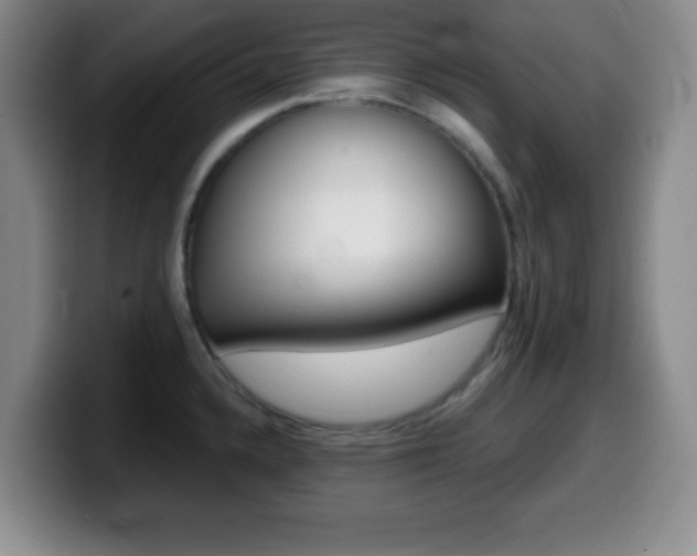 X0000099971336200805230953
