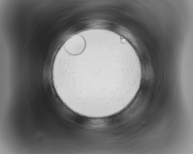 X0000099971338200805230953