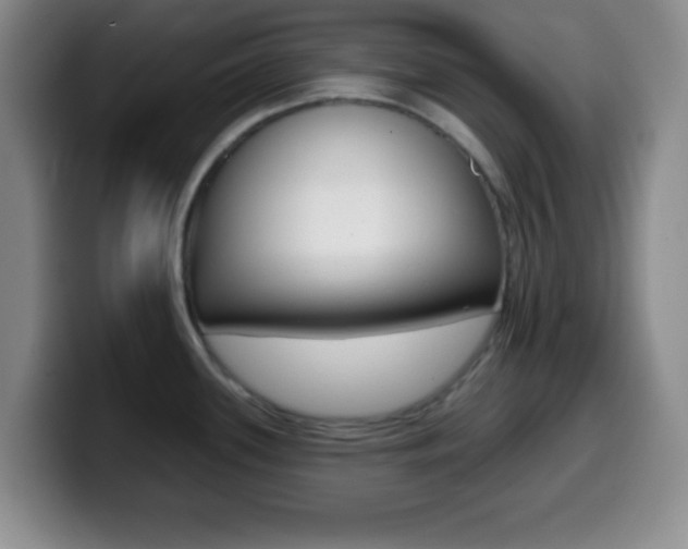 X0000099971339200805230953