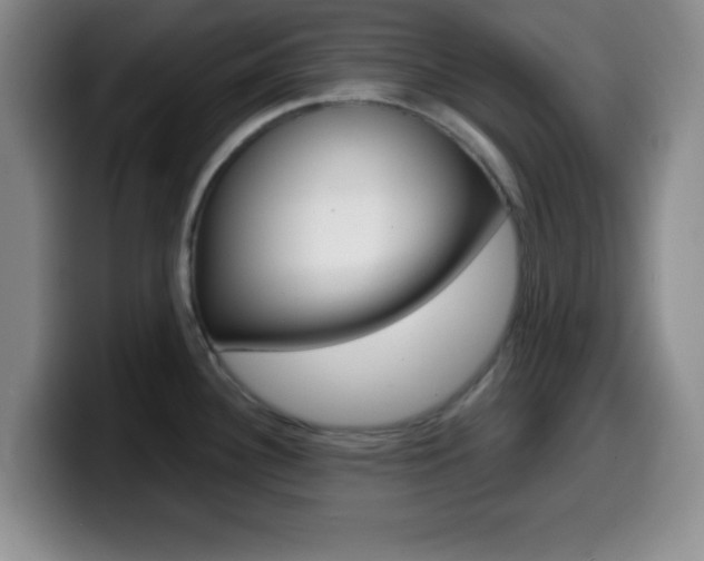 X0000099971340200805230953