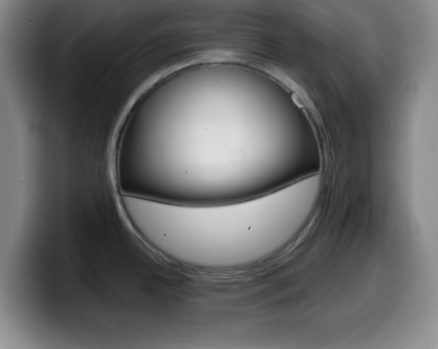X0000099971342200805230953