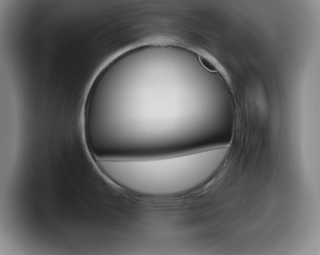 X0000099971343200805230953